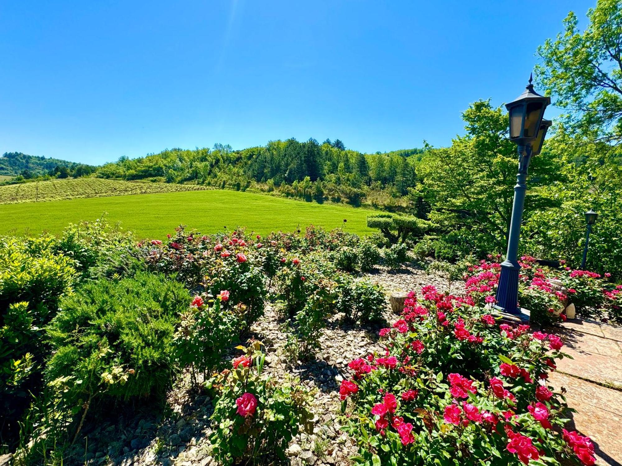 Chateau De Tournou Castelreng Екстериор снимка